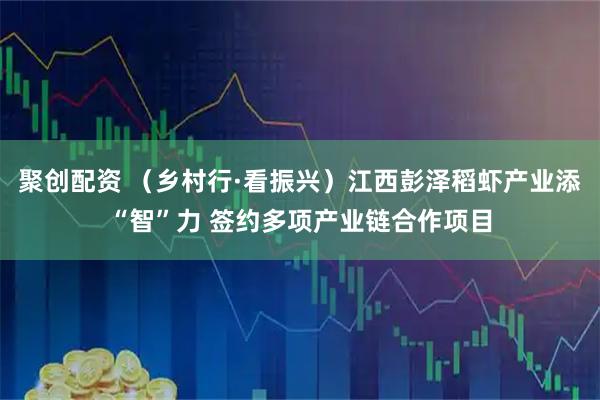 聚创配资 （乡村行·看振兴）江西彭泽稻虾产业添“智”力 签约多项产业链合作项目